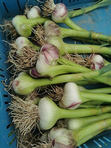 286510373_694374581542128_7137293741241719349_n