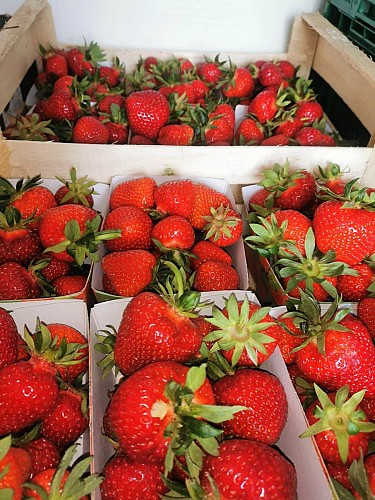 351317985_644733090420141_3285729687571509952_n