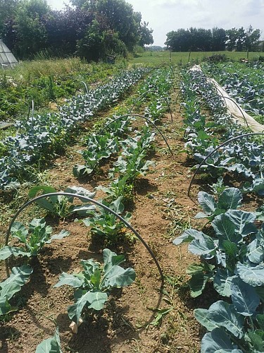 355293495_961847358128181_4670607196864027532_n