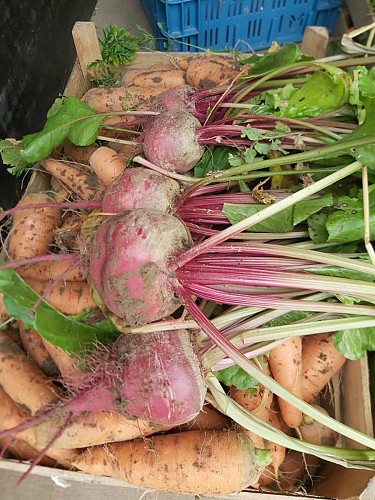 380415153_3597716780548028_4839981117038699617_n