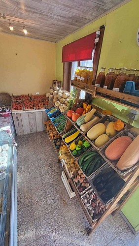 367486091_3572807729705600_7457923791248720976_n