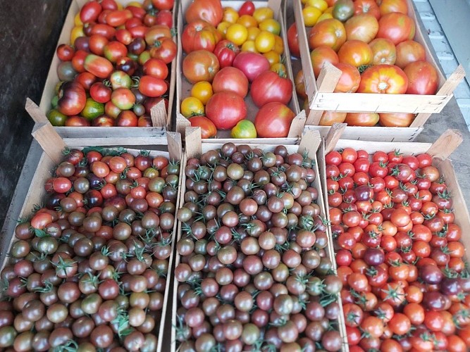 376782592_3590740997912273_7753913973155358690_n