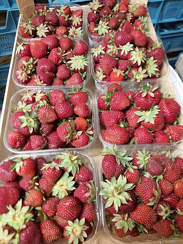 374730630_3584512288535144_1226652148292414914_n