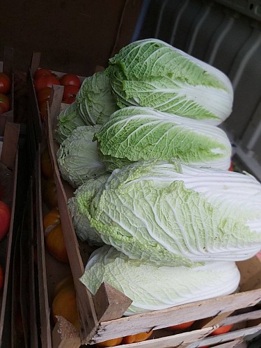 380417077_3597848213868218_8662601179344860270_n