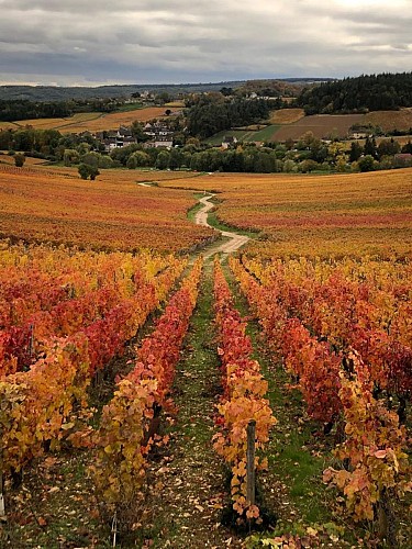 Mellecey - Au Coeur de vignes - MT - Hébergement - 2023 (1)
