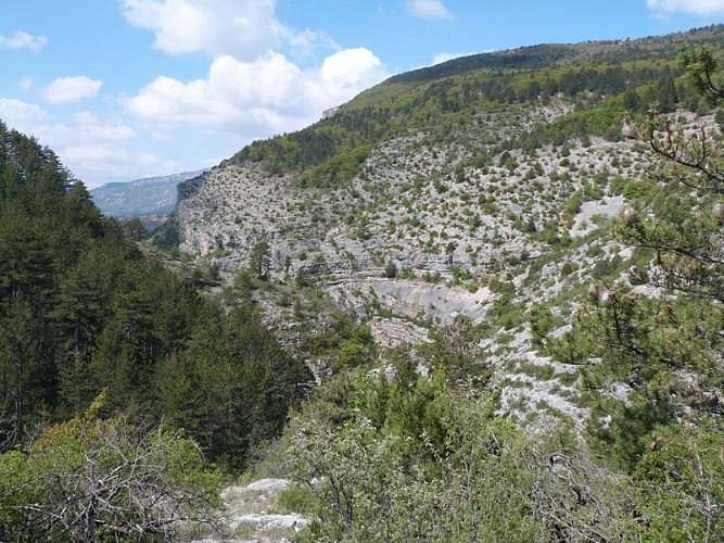 Point de vue surplombant les gorges