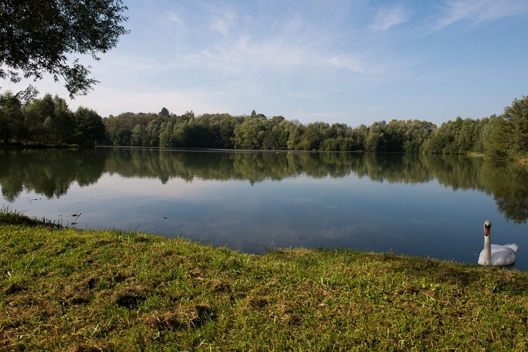 Gravière de Geneuille