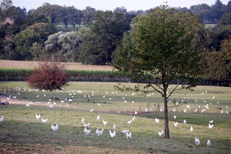 Domaine de la Pérouse