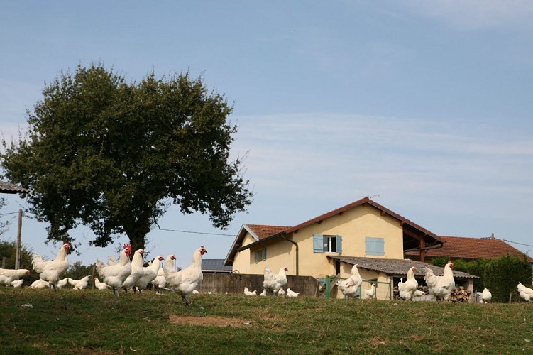 Domaine de la Pérouse