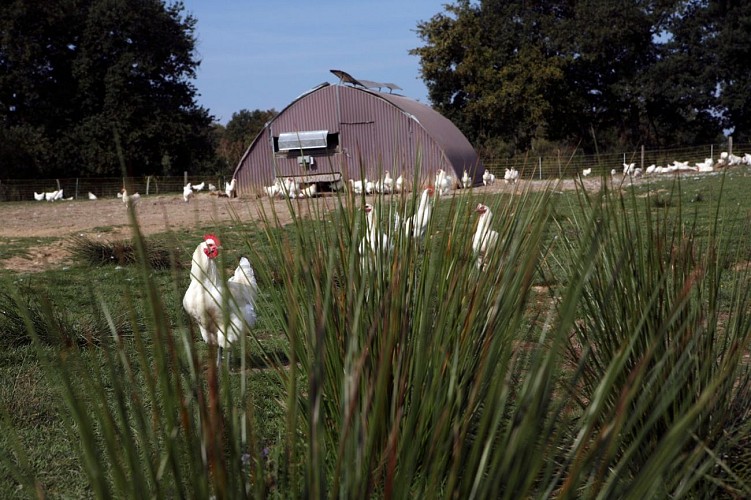 Domaine de la Pérouse