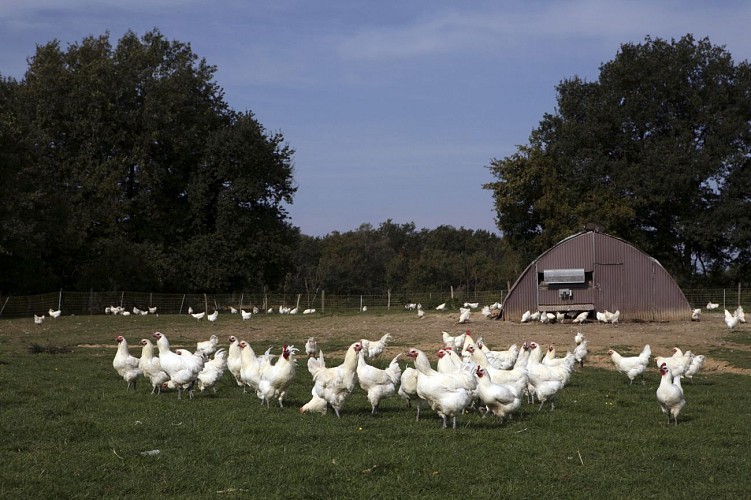 Domaine de la Pérouse