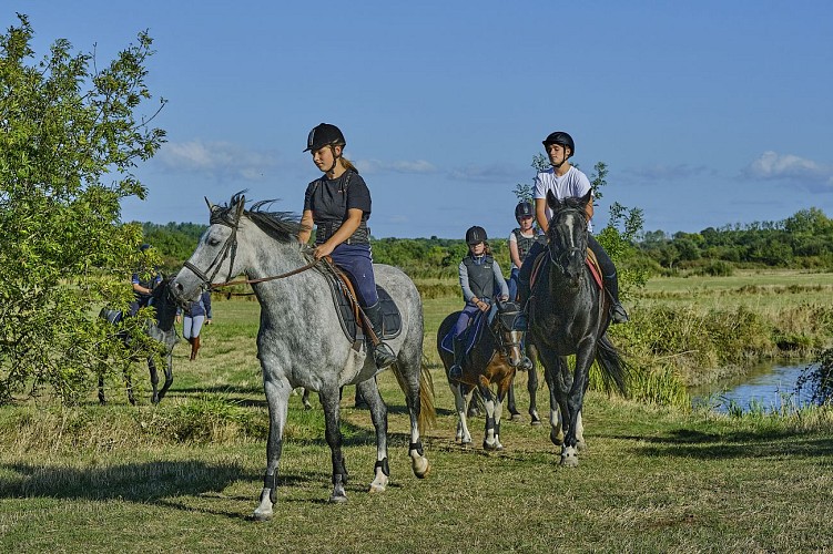 ECOLE D'ÉQUITATION DES PRESNES