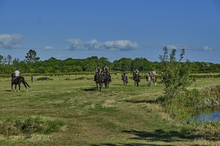 ECOLE D'ÉQUITATION DES PRESNES