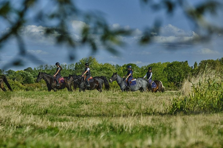 ECOLE D'ÉQUITATION DES PRESNES