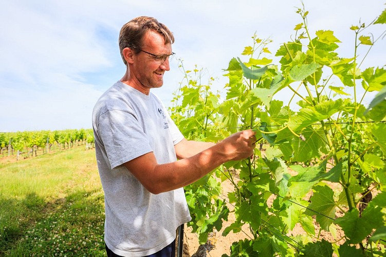 Domaine Laubarel