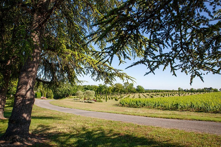 Domaine Gayrard