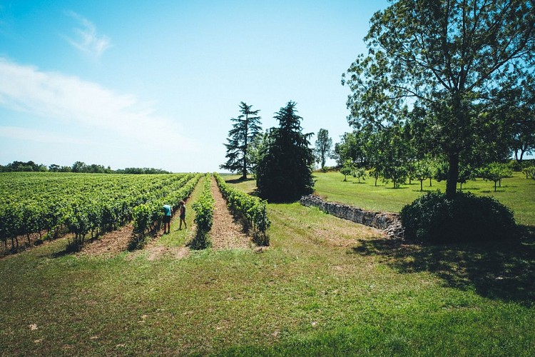 Domaine Gayrard