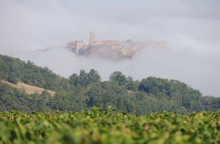 Domaine Oléicole Rigaud