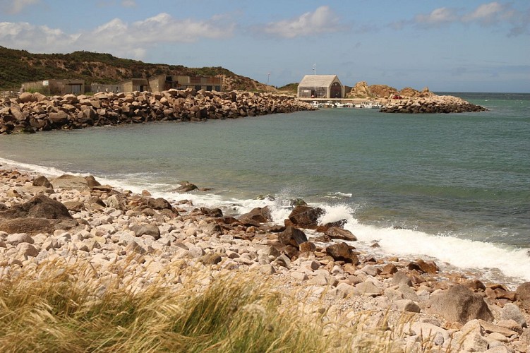 Fermanville-port-pignot-1