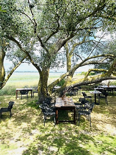 restaurant regneville sur mer la Baie (1)