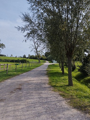 chemin derrière la maison