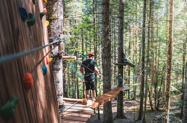 Tree climbing et zip lines of Giants