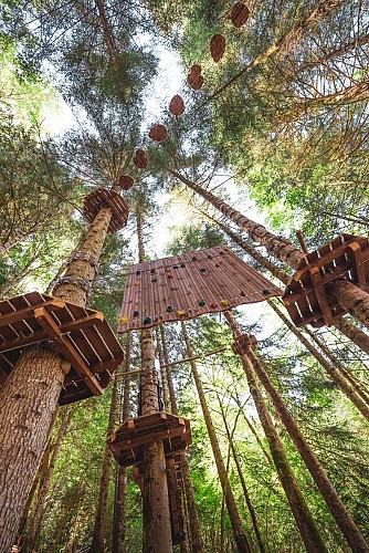 Tree climbing et zip lines of Giants