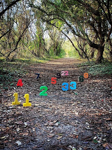 2024_CRI_Mariposa Bien-être010©Coralie Alonso