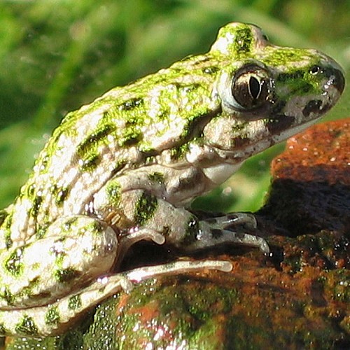 image du object