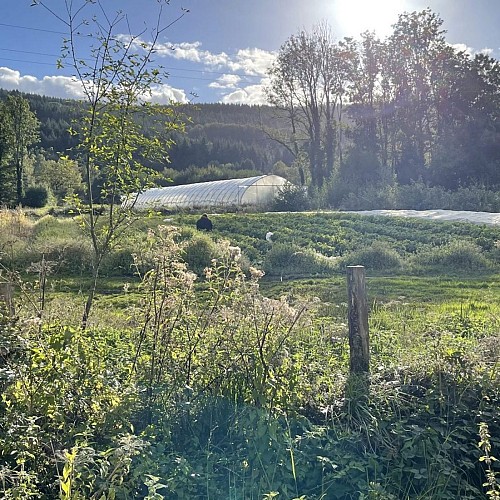 Gîte de la Ferme qui prend racines