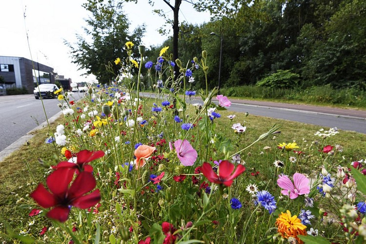 Boulevard industriel