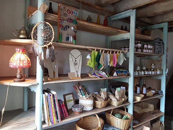 A363821515_146618498464814_6539655623138154058_n