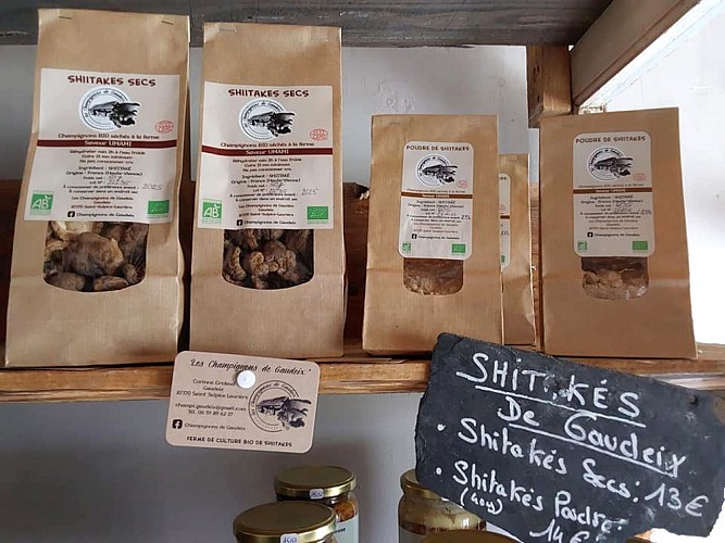 A363784735_146618811798116_6587617492795302008_n