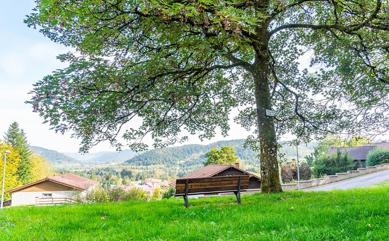Le point de vue sur le Hohneck depuis Le Tholy