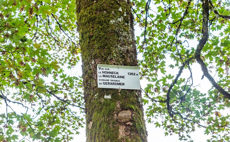 Le point de vue sur le Hohneck depuis Le Tholy
