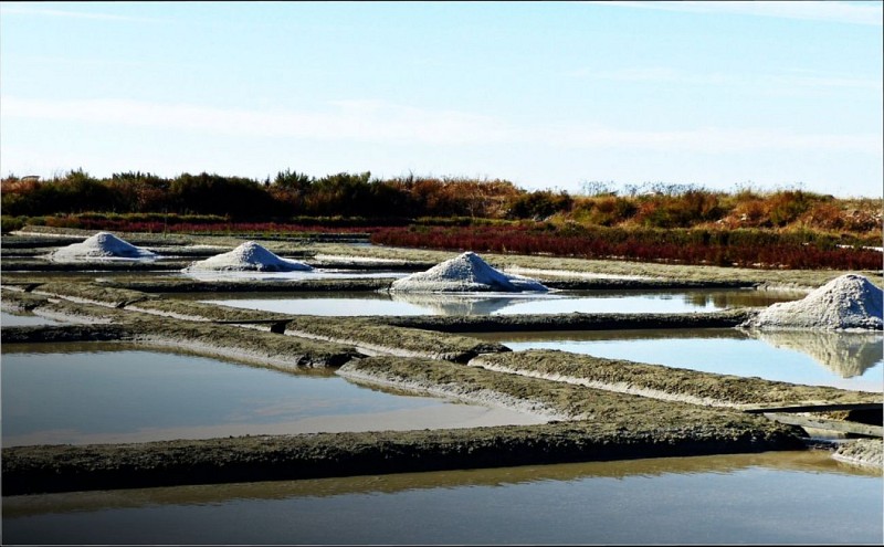 L'Oeillet de Guérande