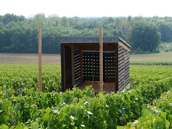Loge de vignes - Le lit de vignes