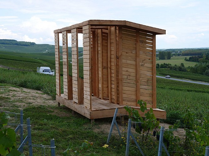 Loge de vignes - Le peigne