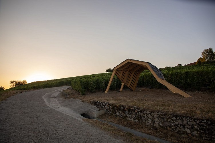 Loge de vignes - Le coquillage