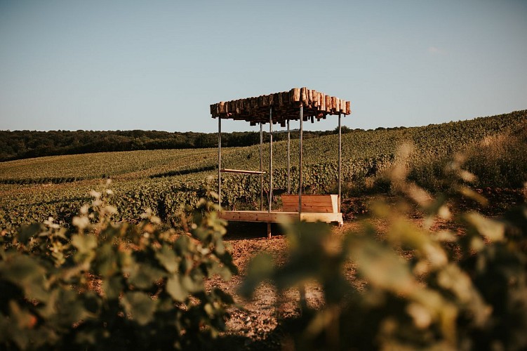 Loge de vignes - La canopée