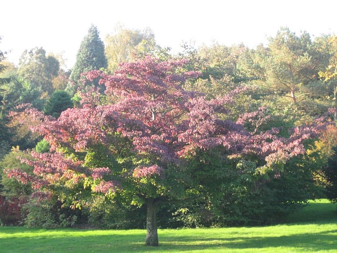 vallee-des-jardins-1