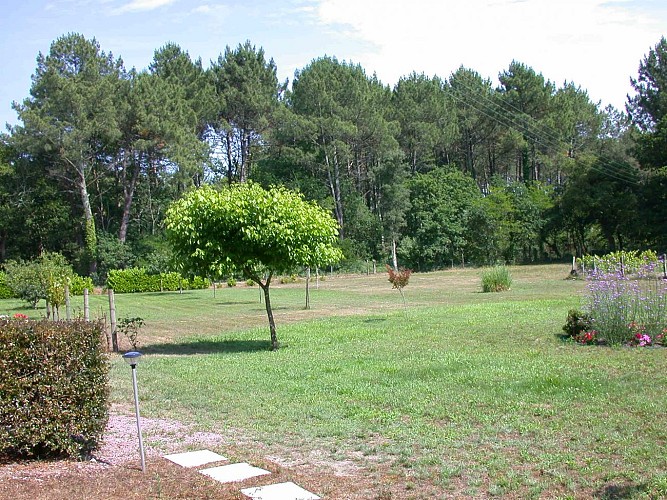 Appartement Au tusteut_Messanges_Landes Atlantique Sud