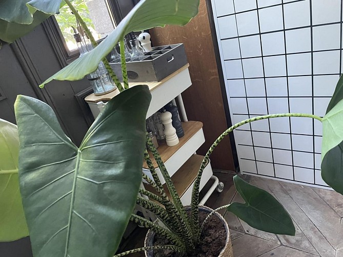 385694246_785114343624838_7007236458844404418_n