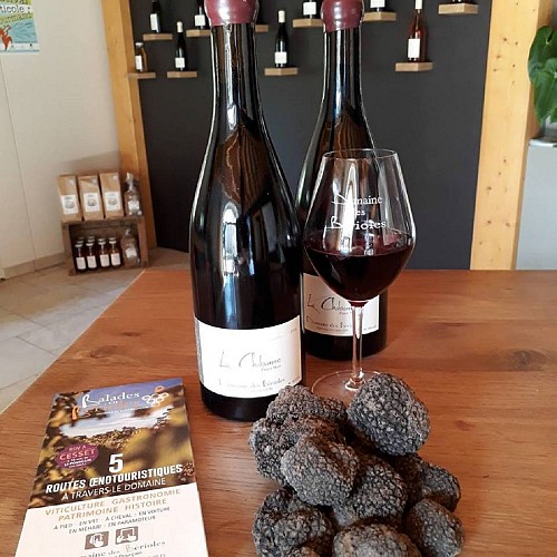 Domaine des Bérioles