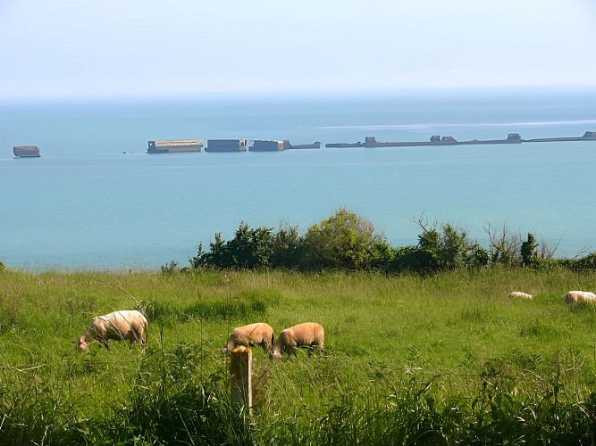 Vue sur le port artificiel d'Arromanches