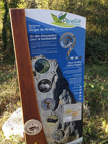 faune et flore gorges de Péreille