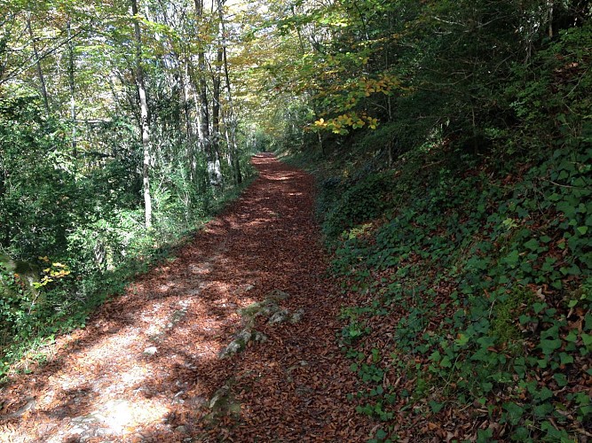 sentier gorges de Péreille