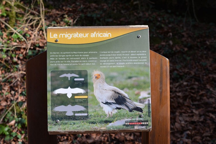 sentier d'interprétation de la faune ete de la flore gorges de Péreille