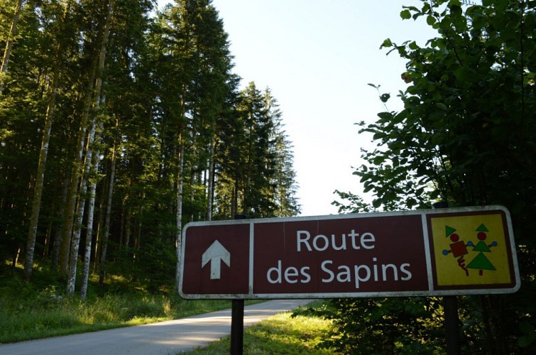 Route des Sapins