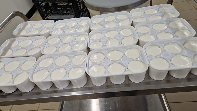 faiselles_Chèvrerie du Mont Sombet